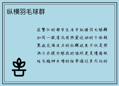 纵横羽毛球群