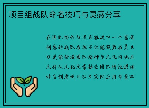 项目组战队命名技巧与灵感分享