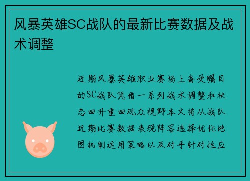风暴英雄SC战队的最新比赛数据及战术调整