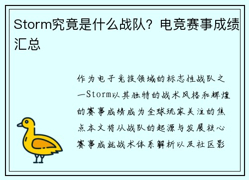 Storm究竟是什么战队？电竞赛事成绩汇总